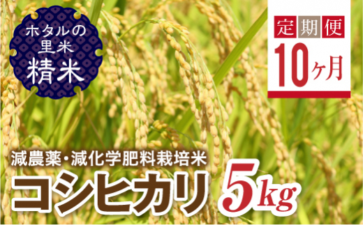  ＜定期便10ヶ月＞【ホタルの里米】環境に配慮し農薬を減らした栽培米 コシヒカリ精米5kg F4D-1440