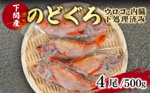 のどぐろ 中 サイズ 4尾 高級 魚 鮮魚 冷凍 アカムツ 下処理 済 下関  890491 - 山口県下関市
