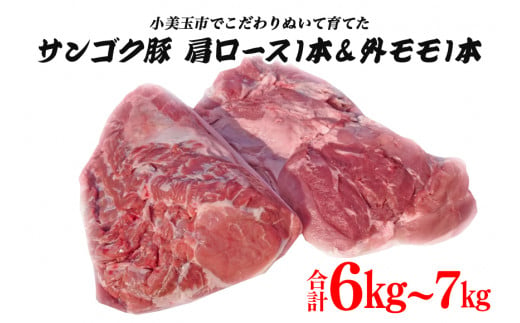 2 G 脂身が甘い サンゴク豚 肩ロース1本 外モモ1本 6kg 7kg 小美玉市小美玉市 ふるさと納税 ふるさとチョイス