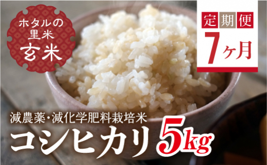  ＜定期便7ヶ月＞【ホタルの里米】環境に配慮し農薬を減らした栽培米 コシヒカリ玄米5kg F4D-1448