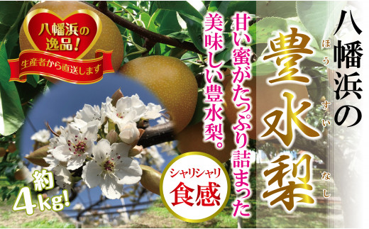 C39-37.八幡浜の梨、果汁たっぷり!!「豊水」4キロ