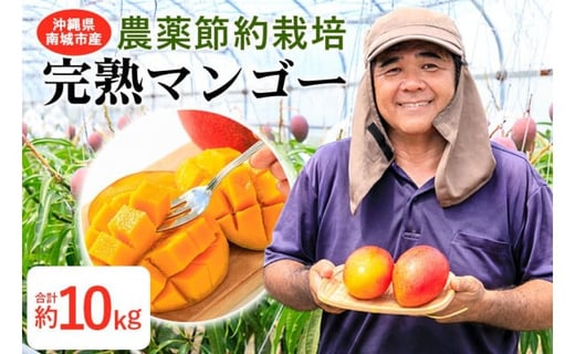冷凍　完熟マンゴー　沖縄県産　農薬・化学肥料不使用　10kg