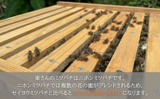 天然百花蜂蜜 1.2kg はちみつ 天然百花蜂蜜 1.2kg 蜂蜜 ハチミツ 国産