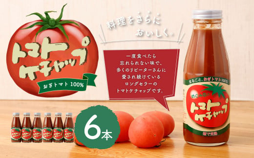 【めぐみ会】トマトケチャップ 6本セット 完熟トマト 手作り 341991 - 大分県竹田市