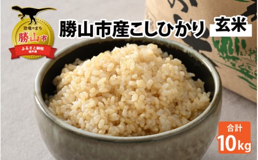 【先行予約】【令和6年産】勝山市産こしひかり（玄米）5kg ×2袋 ※2024年9月中旬より順次発送 [A-046002] 720163 - 福井県勝山市