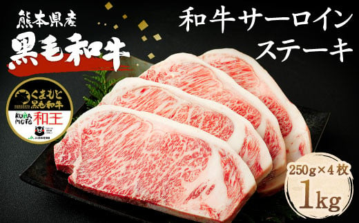 熊本県産 黒毛和牛 サーロイン ステーキ 計1kg（250g×4）国産 牛肉 989680 - 熊本県菊池市