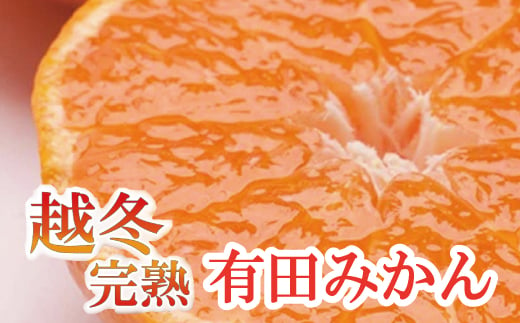 家庭用　越冬完熟みかん1kg+30g（傷み補償分）【ハウスみかん】【わけあり・訳あり】【光センサー選別】＜1月中旬より順次発送予定＞【ikd178】 1419700 - 和歌山県串本町