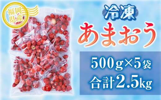 福岡産冷凍あまおう500gｘ5袋　AX014