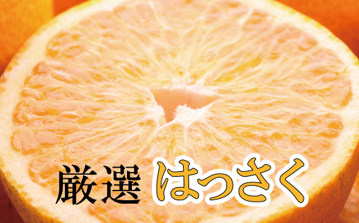 ＜先行予約＞厳選はっさく5kg+150g（傷み補償分）【八朔みかん・ハッサク】＜1月より発送＞【ikd044A】 765157 - 和歌山県串本町