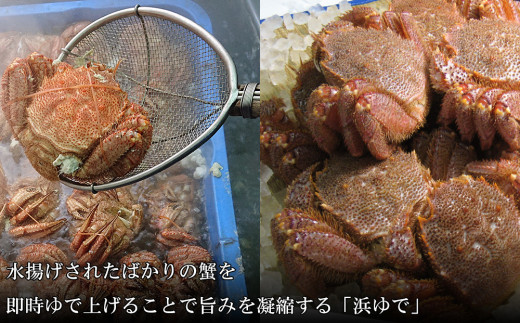 【大サイズ】北海道産 冷凍ボイル毛ガニ (700g-800g前後) 2尾