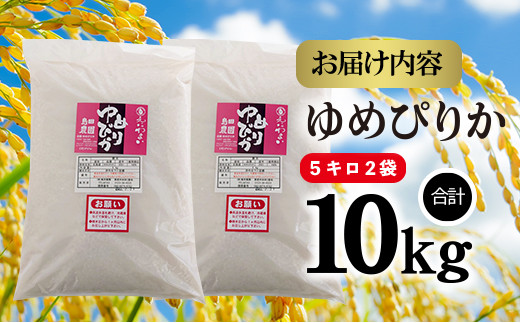 北海道米「恵庭産たつやのゆめぴりか」5kg×2袋【56002】