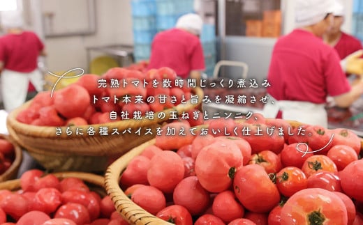 【めぐみ会】トマトケチャップ 12本セット 完熟トマト 手作り