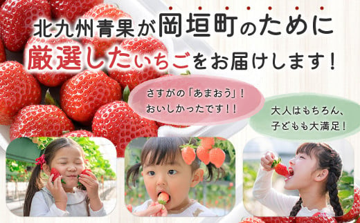 福岡県産 博多あまおう 約1.12kg（約280g×4パック入り） いちご 苺