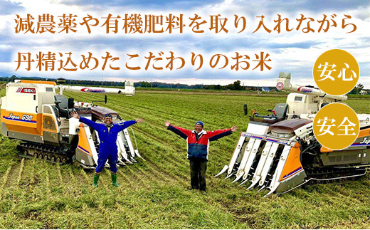 北海道米「恵庭産たつやのゆめぴりか」5kg×2袋【56002】