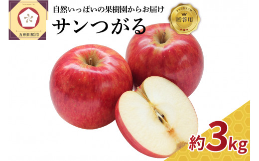 りんご 約 3kg 青森  【選べる配送時期】9月 サンつがる 贈答用 農家直送 クール便