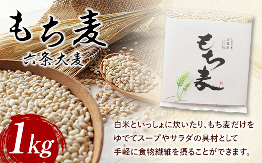 もち麦（六条大麦）1kg F21R-759 595701 - 福島県白河市