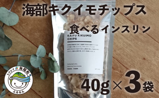 海部キクイモチップス ３袋セット キクイモ チップス 40g×3袋 菊芋 きくいも 徳島 海部 海部キクイモ 【2025年3月中旬発送】 241480 - 徳島県海陽町