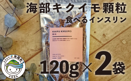 海部キクイモ顆粒 120ｇ×2袋 キクイモ 顆粒 120g×2袋 菊芋 きくいも 徳島 海部 海部キクイモ 【2025年3月中旬以降発送】 256251 - 徳島県海陽町