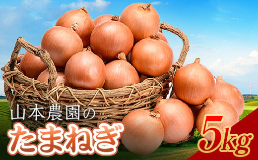 定期便》特別栽培米 ななつぼし（白米）5kg×2袋×3ヵ月 令和5年産 今
