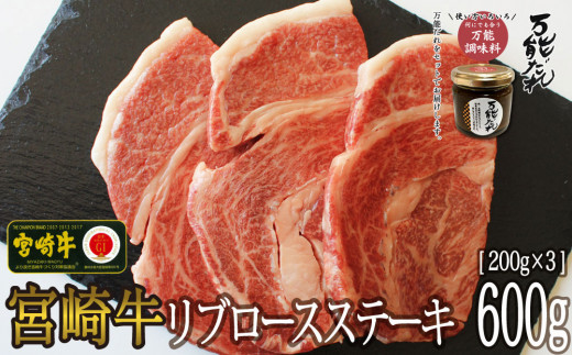 S-11 宮崎牛 リブロース ステーキ 600g 万能だれ付き 牛肉