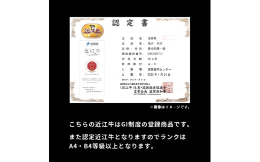 A-H02 近江牛 モモ 300ｇ 株式会社ＴＫＳ 牛 牛肉 国産 和牛 ブランド