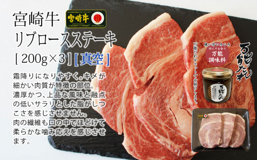 S-11 宮崎牛 リブロース ステーキ 600g 万能だれ付き 牛肉