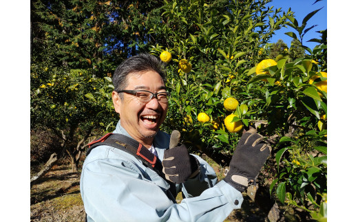 KAGYA JAPAN　エッセンシャルオイルYUZU　5ml×３本セット　生産者が柚子を収穫している写真