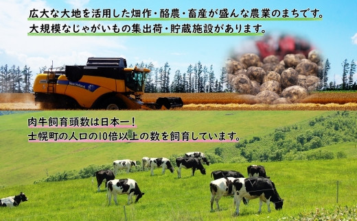 広大な農地を活用した畑作・酪農・畜産が盛んです。