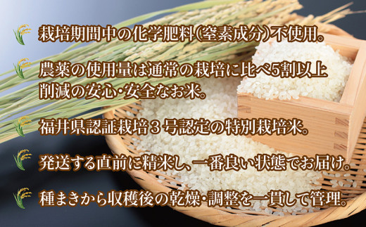 〈新米〉【定期便９回】減農薬米 こしひかり 6kg(3kg×2袋) ／令和5年 福井県産 （玄米）2023年10月発送 人気品種 少量サイズ便利