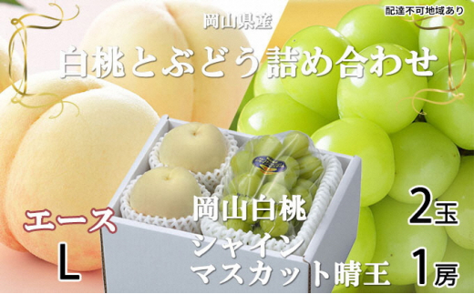 岡山白桃 エース 2玉×約200g（Lサイズ、早生種・中生種）シャインマスカット 晴王 1房約400g 詰合せ 岡山県産 [№5735-1263]
