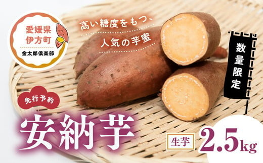 【先行予約】【数量限定】安納芋 生芋（2.5kg）| さつまいも サツマイモ 産地直送　※2024年12月上旬～2025年4月下旬頃に順次発送予定 355023 - 愛媛県伊方町
