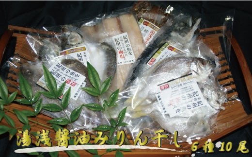 和歌山の近海でとれた新鮮魚の梅塩干物と湯浅醤油みりん干し6品種10尾入りの詰め合わせ【tec201】 1524770 - 和歌山県すさみ町