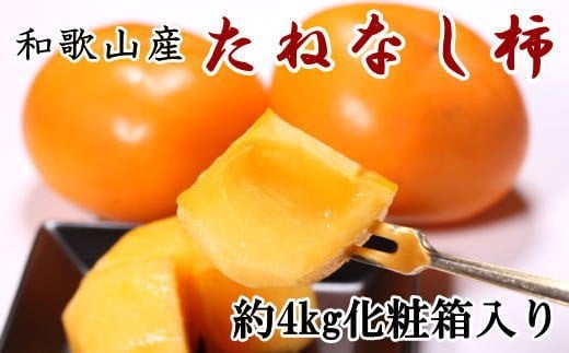 【秋の味覚】和歌山産のたねなし柿2L～4Lサイズ約4kg（化粧箱入り）※2025年10月上旬～2025年11月上旬頃頃順次発送【tec409A】 1524821 - 和歌山県すさみ町