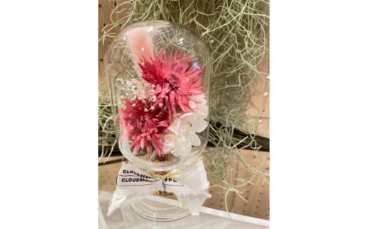 ＜赤系＞天球bottle flowers　Msize【1305651】