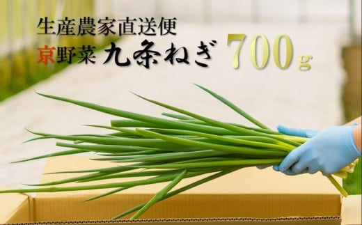 生産農家直送　京野菜・九条ねぎ  700g S0802