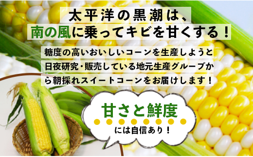 朝採れスイートコーン３kg 8 10本 A 215 高知県香南市 ふるさとチョイス ふるさと納税サイト