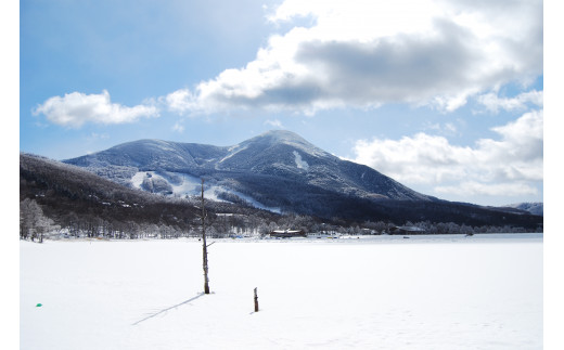 冬の女神湖と蓼科山です。
