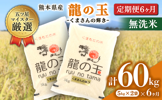 FKK19-372 【6回定期便】龍の玉（くまさんの輝き） 無洗米 10kg（5kg×2