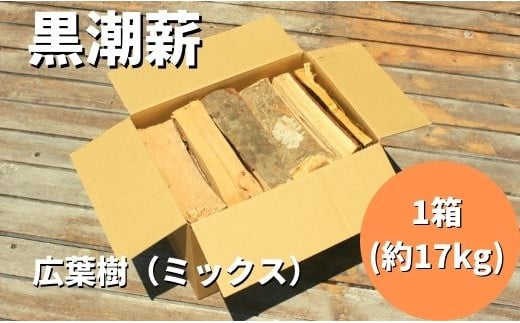 24-265．【数量限定】薪ストーブやアウトドアに！黒潮薪本舗の黒潮薪1箱（合計 約17kg）【発送期間：2024年8月～2025年3月31日まで】 1071056 - 高知県四万十市