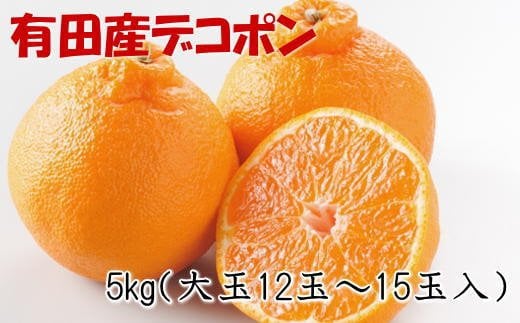 【お味濃厚】紀州有田産の大玉デコポン約5kg(12玉～15玉入り)※2025年1月中旬～2025年3月中旬頃順次発送【tec811A】 1524800 - 和歌山県すさみ町