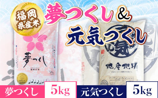 福岡産夢つくし5kg＆元気つくし5kg　AX036|南国フルーツ株式会社