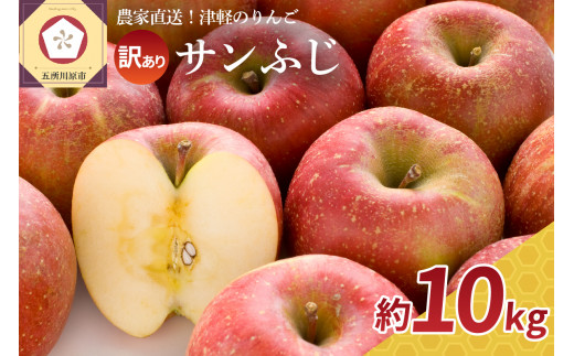 青森県五所川原市のリンゴ選びに迷ったとき必読!~五所川原市りんご