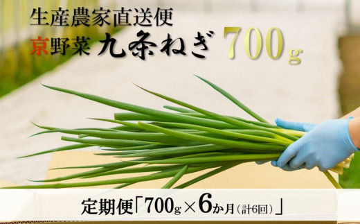 【6か月定期便】生産農家直送　京野菜・九条ねぎ  700g×6回 S0802 ×6