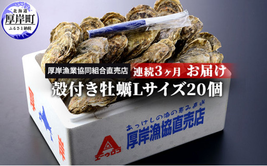 [№5863-0471]北海道厚岸産 殻付き牡蠣Lサイズ20個 連続3ヶ月お届け