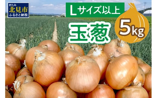 【予約】玉葱 5kg Lサイズ以上 ( たまねぎ 玉ねぎ タマネギ 5キロ 野菜 北海道産 ふるさと納税 玉ねぎ生産量日本一 北見市 )【148-0002-2023】