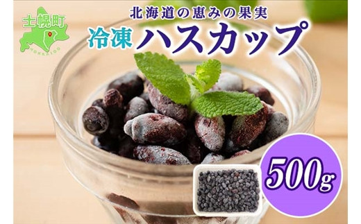 北海道 士幌産 冷凍 ハスカップ 500g ベリー 果実 フルーツ お取り寄せ
