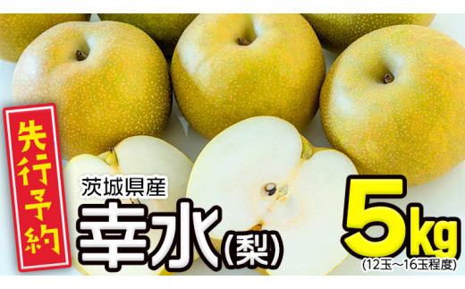 茨城県産 梨 幸水 （約 5kg ） 梨 なし 果物 フルーツ 新鮮 旬 期間 ...