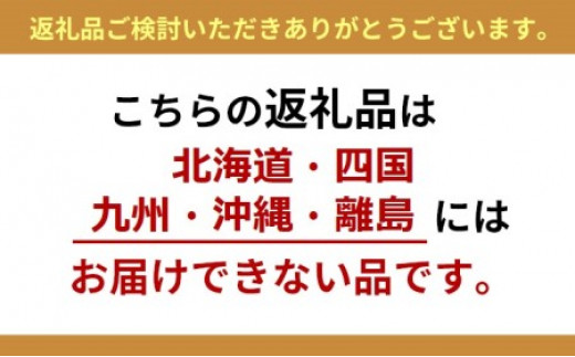 信州駒ヶ根産「手打ち信州二八そば」（2人前セット）[№5659-1012