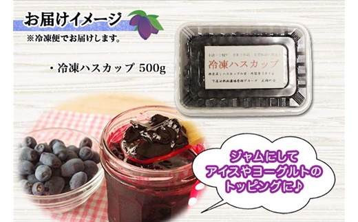 お届けイメージ