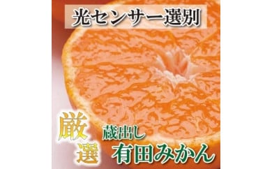 ＜1月より発送＞厳選 蔵出みかん5kg+150g（傷み補償分）有田